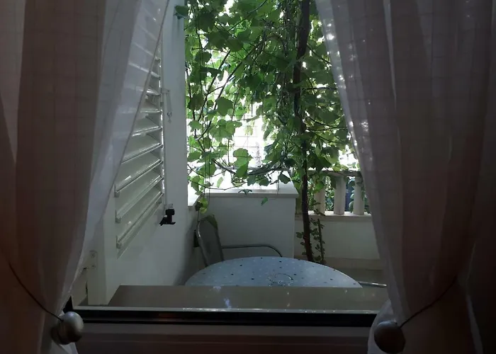 Dariana מאקרסקה